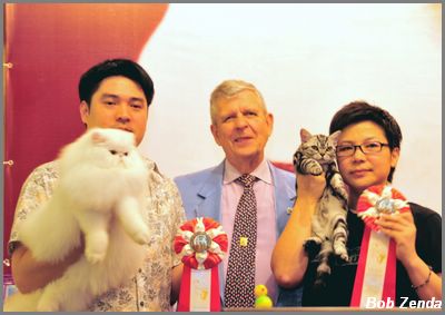 Zenithi White Truffle & Cat Life Xiao Mo Gu